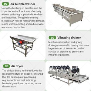 Fresh Chili Sauce Coarse Grinder Industrial Process <b>Grinding</b> Pepper <b>Paste</b> Sterilizer Make Production Machine - Product Image 3