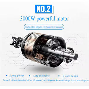 เครื่องขูด<span class=keywords><strong>ปลา</strong></span><span class=keywords><strong>แซลมอน</strong></span><span class=keywords><strong>ปลา</strong></span>นิลอเนกประสงค์ - Product Image 3