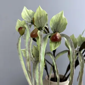 <span class=keywords><strong>Orchidée</strong></span> tropicale artificielle Paphiopedilum (Paphio) à toucher réel pour la décoration de vases d'hôtel et de maison (vente en gros) - Product Image 5