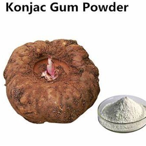 ตัวอย่างฟรี สารสกัดจากรากอามอร์โฟฟัลลัส โคนยัค กลูโคแมนแนน ผงสกัด 90% 95% 98% กลูโคแมนแนน สารสกัดจากโคนยัค สำหรับส่วนผสมอาหาร - Product Image 6