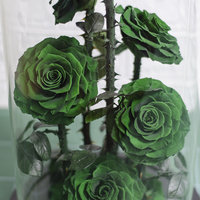 UKIQUEEN vente en gros de fleurs naturelles conservées à longue tige, dôme en verre stabilisé, roses dorées éternelles enchantées avec boîte-cadeau
