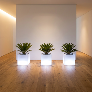 Large Size LED <b>Light</b> Solar Charging Lawn <b>Lights</b> Illuminated Plastic Garden Planters and Flower Pots for Outdoor Decorative Use - Product Image 1