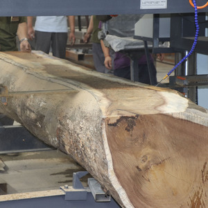 Heavy Duty Horizontal Band Saw for Large Diameter Wood <b>Log</b> <b>Cutting</b> and Timber Processing - Product Image 4