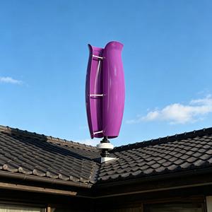 Générateur éolien vertical 800W avec contrôleur de charge MPPT, petit système d'énergie éolienne pour maison, hors réseau, marine, camping-car - Product Image 5