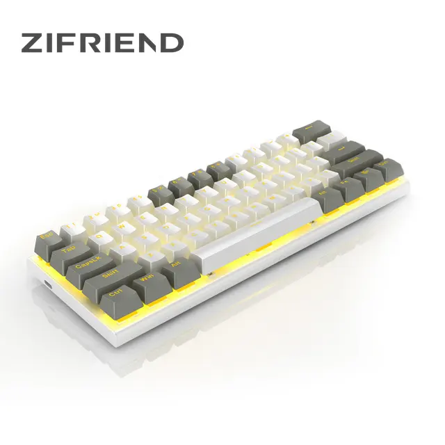 ZF Hot swappable RGB USB 60% Mini Mechanical Gaming Keyboard,Blue Red Switch 61 Keys Wired detachable cable Keyboard