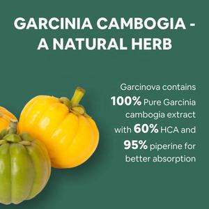ओएम गार्सिनिया कैंबोगिया वजन घटाने गार्सिनिया कैंबोगिया 3000 मिलीग्राम 60% एचका कैल्शियम, पोटेशियम और क्रोमियम गार्सिनिया कैंबोगिया कैप्सूल - Product Image 4