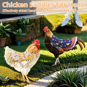 Al por mayor: Bonita silla de gallina para gallinas, delantales para gallinas, chalecos tipo silla para gallinas, ropa para aves de corral, protector de alas y plumas de la espalda - Product Image 2