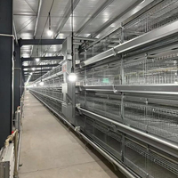 Bâtiment d'élevage avicole en structure métallique préfabriquée pour poulets, vaches, moutons et porcs