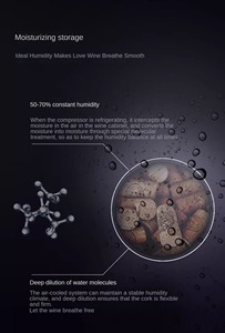 NE-362 <span class=keywords><strong>Cave</strong></span> à <span class=keywords><strong>vin</strong></span> commerciale et domestique à température constante intégrée, meilleur réfrigérateur à <span class=keywords><strong>vin</strong></span> à double zone avec contrôle de l'humidité - Product Image 6