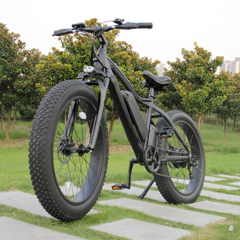 High Performance 26inch Fat Tire Mountain Electric Bike With 48v 500w/1000w Rear Motor Electric Bike