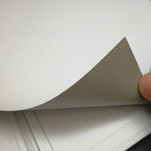 Rollo de Papel WTL (Test Liner Board) con Revestimiento Blanco para Embalaje Corrugado - Product Image 2
