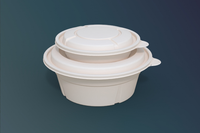 Premium Dubbellaagse Biologisch Afbreekbare Wegwerp Ramen Emmerdeksel 1000ml 800ml 650ml 500ml Multi-Tier Soep Combo Anti-Vocht Thermisch