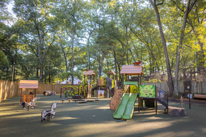 Équipement de terrain de jeux en plein air, toboggan en bois, équipement Little Tikes, équipement commercial, zoo à thème, parc d'attractions - Product Image 4