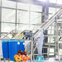 Machines à confiture de fruits un fabriquer la compote de ligne de production