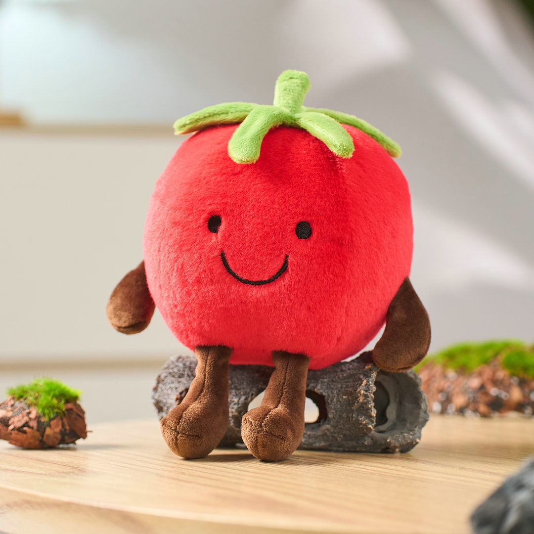 Tomates - Styles illimités - Boîte présentoir de 12 pièces