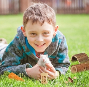 Giocattoli Interattivi per Piccoli Animali con Accessori da Masticare in Gomma e Legno, Confezionati in Cartone per Criceti, Porcellini d'India e Altro - Product Image 6
