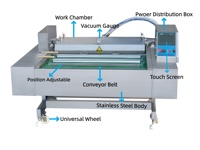 Machine d'emballage sous vide abordable, multifonctionnelle, continue, à bande, pour emballage sec et humide, idéale pour le poisson