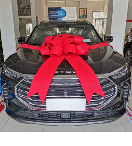 Wholesale EVA <strong>Wedding</strong> <strong>Car</strong> Ribbon <strong>Bow</strong> Customizable logo Printing Colorful Large Gift <strong>Car</strong> Pull <strong>Bow</strong> <strong>for</strong> Decoration - Product Image 5