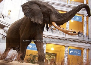 Statua di <span class=keywords><strong>Elefante</strong></span> Animatronico a Grandezza Naturale, Modello Animale Personalizzato Fatto a Mano, <span class=keywords><strong>Elefante</strong></span> <span class=keywords><strong>Elettrico</strong></span> - Product Image 5