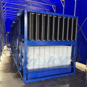 얼음 블록 행렬 라인 얼음 블록 10 톤 기계