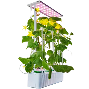 Smart penyiraman sistem penanaman diy dalam ruangan penanam herbal tanaman diri pintar pot tanaman pertanian perkotaan hidroponik rumah kaca tumbuh