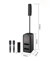 Haut-parleur portable d'extérieur rechargeable de 8 pouces pour guitare, instrument de karaoké de fête mobile, caisson de basses avec Line Array
