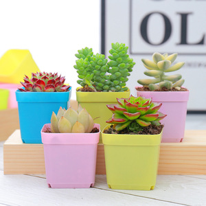 Pot de semis de haute qualité Pots de plantes de jardin pépinière pour plantes succulentes carré épaissir Pot <span class=keywords><strong>en</strong></span> <span class=keywords><strong>plastique</strong></span> planteur - Product Image 6