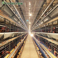 Cage à poulets de type H pour équipement avicole, prête à être expédiée, système de cage à poulets automatique en fil de fer galvanisé soudé