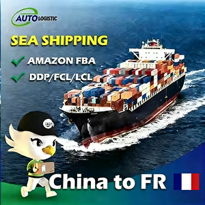 Spedizione Marittima e Terrestre Porta a Porta dalla Cina alla Francia, Origine Guangdong, Consegna a <span class=keywords><strong>Parigi</strong></span> in 3 Giorni - Product Image 1