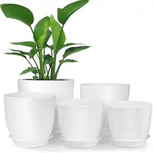 Fabriek Prijs 14Cm * 12.7Cm 5Pcs Plastic Wit Pot Planter Met Lade Voor Tuinieren Planten