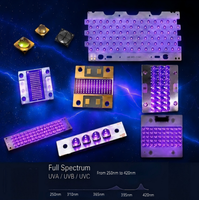 Maßgefertigtes UV-LED 254nm 255nm 265nm UV-LED-Modul UV-Lampe für Wassersterilisator Trinkwasser-Desinfektionslampe