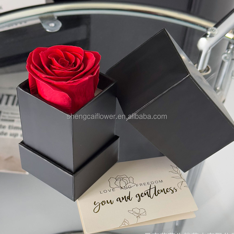 red square 1 rose