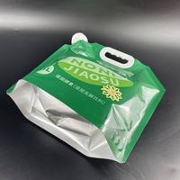 Pochette à boisson de 5L gallon sac à eau boisson sac en plastique transparent transparent avec sac à bec avec bec verseur pochette à bec