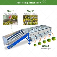 Jujube-granaatappel-knoflook-fruitroller sorteermachine, blauwe bes-kokosnoot-industriële perzik sorteermachine