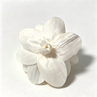 Diffuseur de parfum artisanal en bois de camélia blanc personnalisé pour la décoration de la maison, des mariages et des fêtes