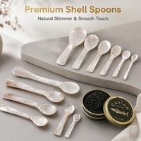 Cuillère personnalisée de luxe en nacre |   Cuillère à caviar en coquille polie miroir |   Pour restaurant, hôtel, mariage, café, dessert, café