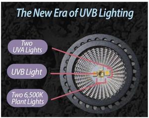 Cho Amazon Hot Bán UVB Led Bò sát bóng đèn nhiệt màu đỏ ánh sáng đèn E27 cơ sở thả vận chuyển 1 cái - Product Image 3