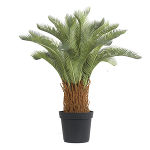ต้นปาล์มปฏิวัติเขียวใช้ตกแต่งในร่มและกลางแจ้ง,ต้นไม้เทียม Sago Cycas สินค้าจากประเทศจีน - Product Image 3