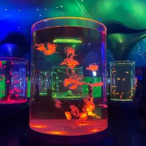 Aquarium écologique transparent vitre de poisson en acrylique, produit moderne et facile à nettoyer, vente en gros