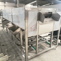 Automatische roller sorteermachine voor citroenen, uien, kersentomaten, wortelgroenten en andere groenten op basis van maat.