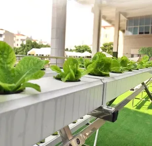 Sistemas de cultivo aquaponics tubo hidropónico de PVC cuadrado para plantar vegetales