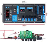 60W Mono Kanal Yüksek Güçlü Amplifikatör Kartı Taşınabilir PCB Kartı Dış Mekan Ses Amplifikatör Modülü Mono Amplifikatör