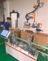 Machine d'emballage robotisée Cobot pour boîtes, sacs, bouteilles et cartons – Lignes d'emballage