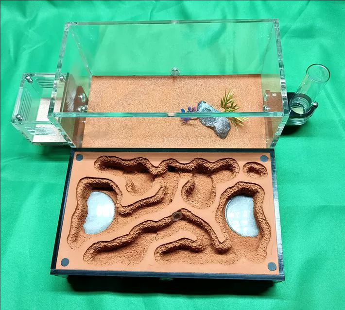 Édition Deluxe (Taille du nid : 20*12,5*4 cm)