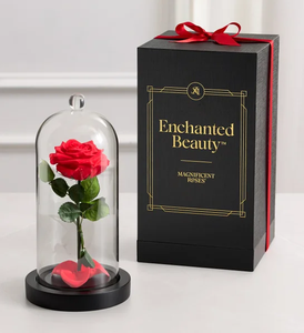 Meilleur cadeau pour <span class=keywords><strong>la</strong></span> Saint-Valentin, <span class=keywords><strong>rose</strong></span> enchantée de <span class=keywords><strong>La</strong></span> <span class=keywords><strong>Belle</strong></span> <span class=keywords><strong>et</strong></span> <span class=keywords><strong>la</strong></span> Bête, <span class=keywords><strong>rose</strong></span> véritable préservée dans de <span class=keywords><strong>la</strong></span> glycérine, longue durée, 3-5 ans, cloche <span class=keywords><strong>en</strong></span> <span class=keywords><strong>verre</strong></span> - Product Image 3