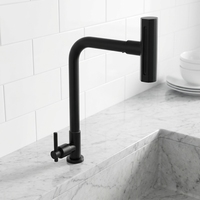 Peralatan sanitasi grosir produk baru desain dapur Modern baja nirkarat hitam 201 keran wastafel dapur