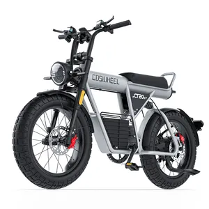 Electric Bike 2000w 20inch Fat Tire E-bike 1500w Urban Ebike