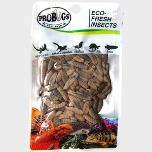 Larves de Mouches Soldat Noires de Haute Qualité pour l'Exportation, Préservées sous Vide, Riches en Protéines, Insectes Éco-frais pour Alimentation des Reptiles et Tortues - Product Image 4