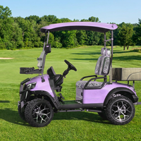 Voiturette de golf électrique violette homologuée pour la route, 2 places, sièges réglables, batterie au lithium, vitesse 30-50 km/h, autonomie 90 km, pour parcours de golf