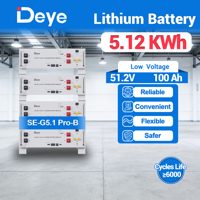 Premium Deye SE-G5.1 Pro-B 51.2V 100Ah 5.12kWh Lithium Battery Versatile Mounting Scalable Pack for Medical Clinic Backup